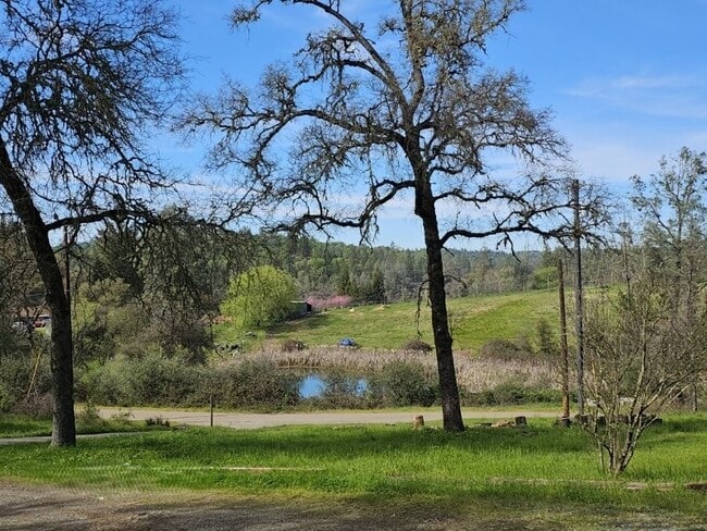 10513 Katy Ln in Grass Valley, CA - Building Photo - Building Photo
