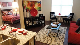 Studio Lubbock Apartments For Rent With Washer Dryer