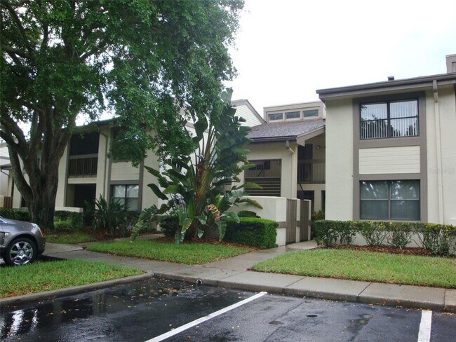 270 Woodlake Wynde in Oldsmar, FL - Building Photo - Building Photo
