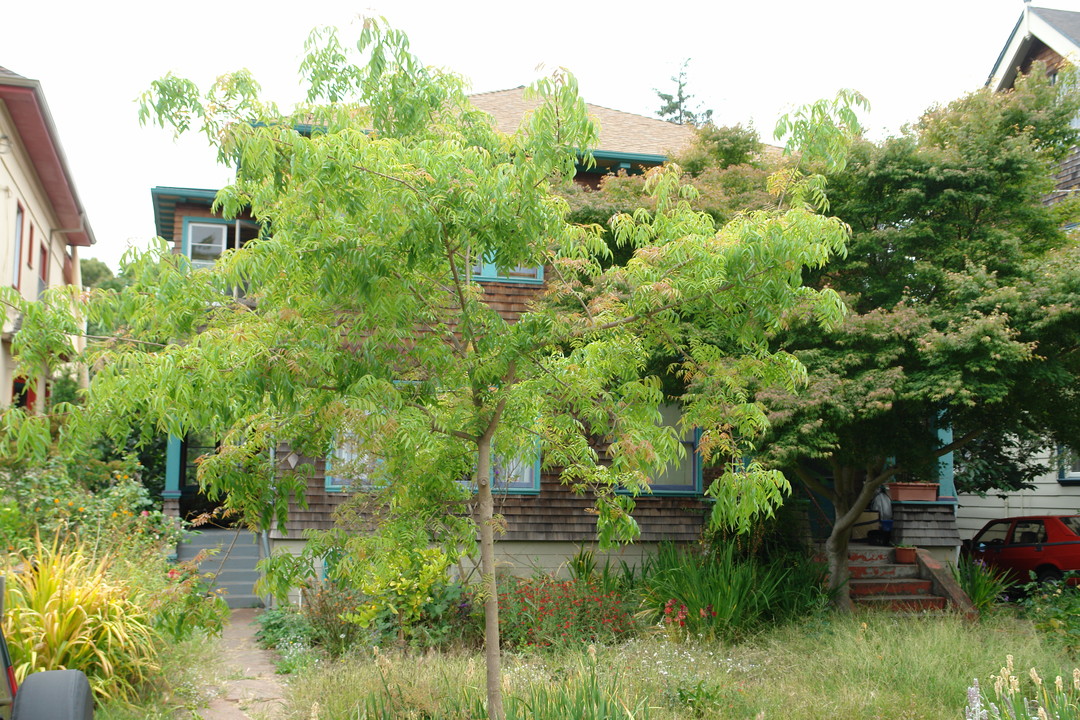 2906-2908 Regent St in Berkeley, CA - Building Photo