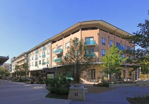 3220 Feathergrass Ct in Austin, TX - Building Photo