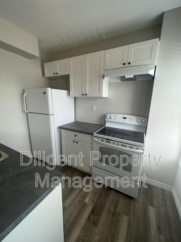 property at 164 Stewart St