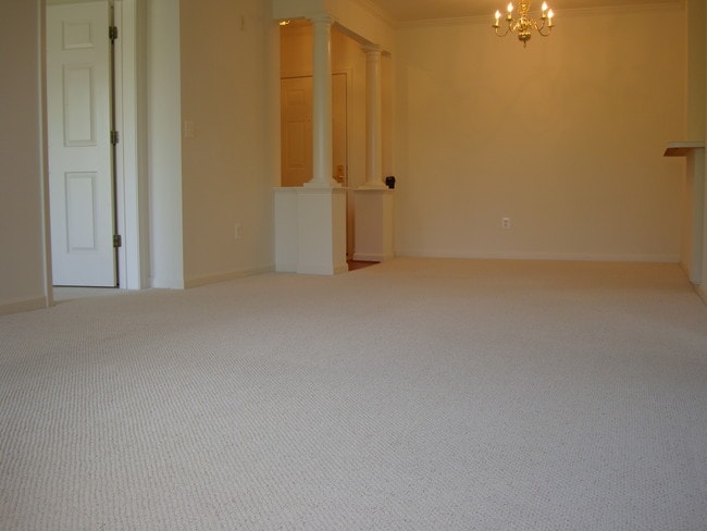 7000 Falls Reach Dr, Unit 309 in Falls Church, VA - Foto de edificio - Building Photo