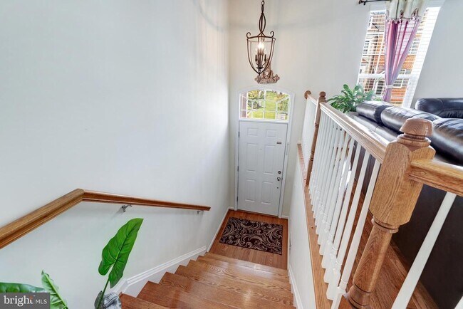 43543 Heritage Gap Terrace in Chantilly, VA - Building Photo - Building Photo
