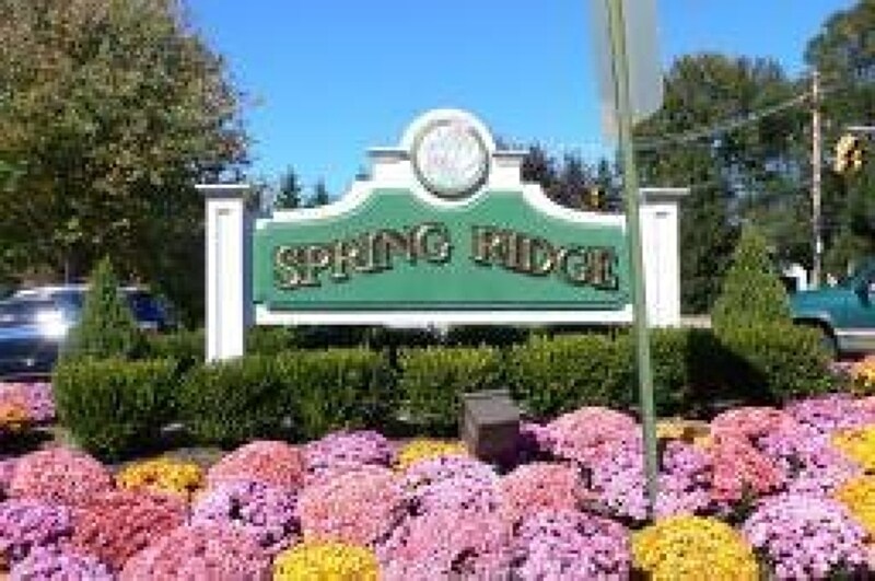 247 Potomac Dr in Bernards, NJ - Building Photo