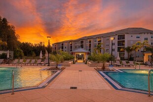 Cobalt in Lutz, FL - Building Photo