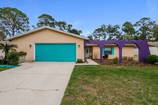 3910 Briarlake Dr in Valrico, FL - Building Photo