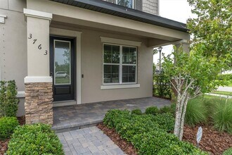 3763 Villamore Ln in Odessa, FL - Building Photo - Building Photo