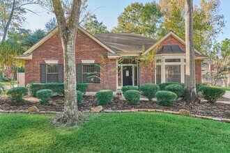 3 Amber Sky Pl in Spring, TX - Building Photo - Building Photo