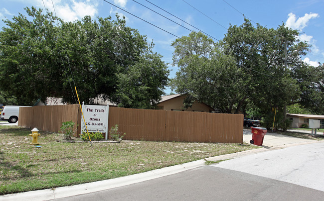 151 Margie St in Palm Harbor, FL - Foto de edificio - Building Photo