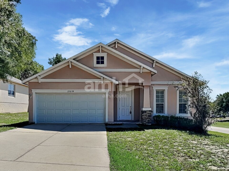 25239 Chipshot Ct in Sorrento, FL - Building Photo