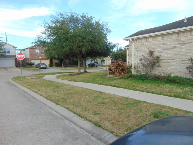 19935 Juniper Berry Dr in Richmond, TX - Building Photo - Building Photo