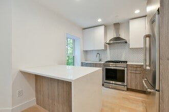 55 E Springfield St, Unit 4 in Boston, MA - Building Photo - Building Photo