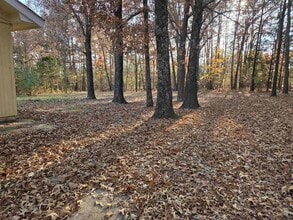 156 Pottawattamie Dr in Cherokee Village, AR - Building Photo - Building Photo