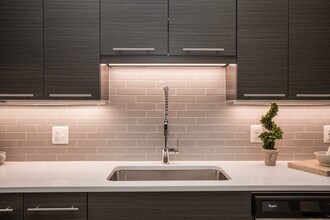 Camden Shady Grove in Rockville, MD - Foto de edificio - Interior Photo