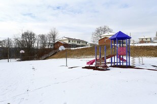 Economy Village Apartments in Ambridge, PA - Building Photo