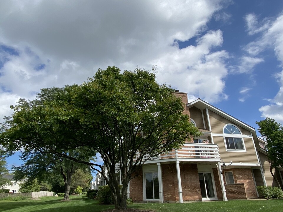1146 Courtland Dr in Buffalo Grove, IL - Foto de edificio
