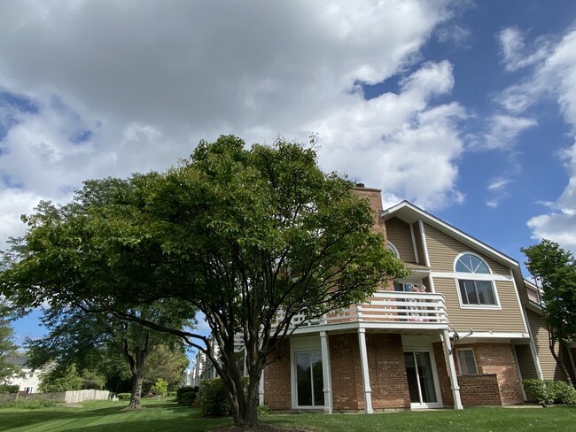 1146 Courtland Dr in Buffalo Grove, IL - Building Photo - Building Photo