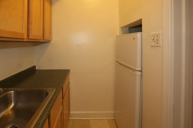 541 W Arlington Pl in Chicago, IL - Foto de edificio - Building Photo