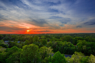 White Oak Towers Apartments in Silver Spring, MD - Foto de edificio - Building Photo