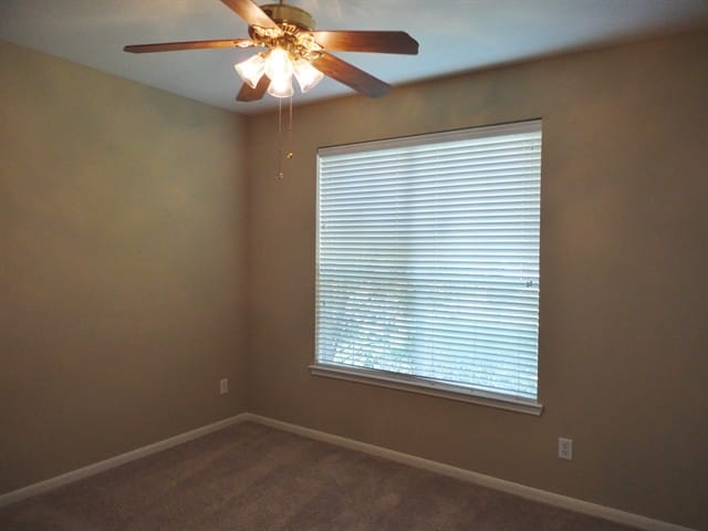 16511 Cypress Brook Ct in Cypress, TX - Building Photo - Building Photo