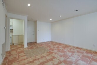 3600 Montrose Blvd in Houston, TX - Foto de edificio - Building Photo