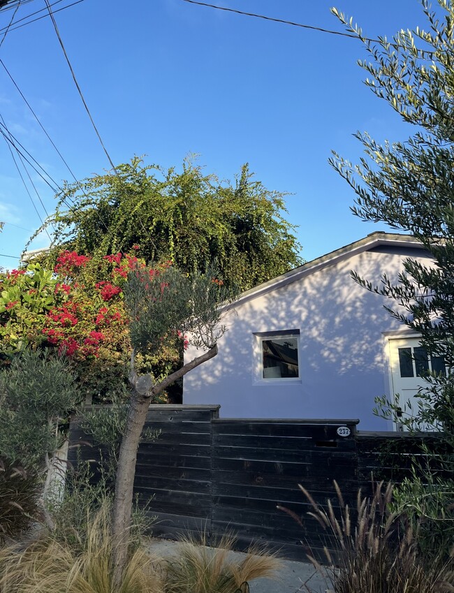 property at 237 San Juan Ave