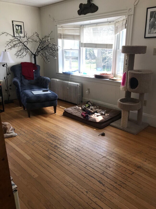 53 Jerome Ave Apartments and Nearby Newton Apartments For Rent Newton, MA