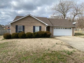 224 Lady Alice Ct in Clarksville, TN - Building Photo