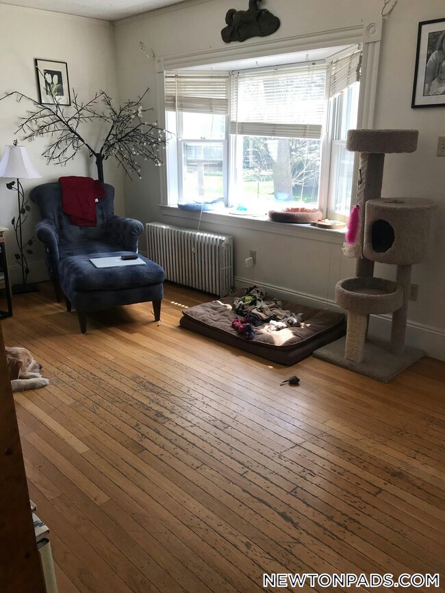 property at 49 Jerome Ave