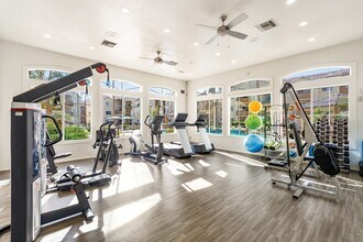 Sonterra Apartments at Paradise Valley in Phoenix, AZ - Foto de edificio - Building Photo