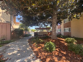 1369 Phelps Ave in San Jose, CA - Building Photo - Building Photo