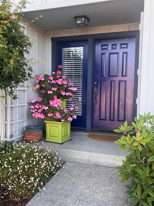 37 Binnacle Hill in Oakland, CA - Building Photo - Building Photo