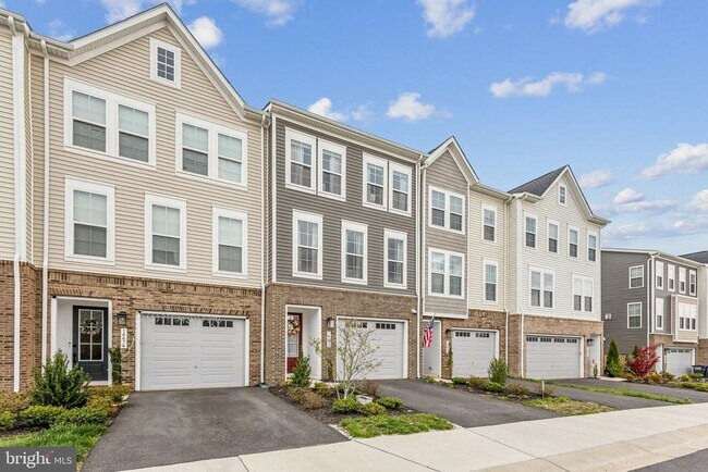 14472 Nebbiolo Dr in Gainesville, VA - Building Photo - Building Photo