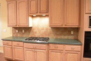 11110 S Reach in Montgomery, TX - Building Photo