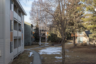 Stephens Park in Anchorage, AK - Foto de edificio - Building Photo