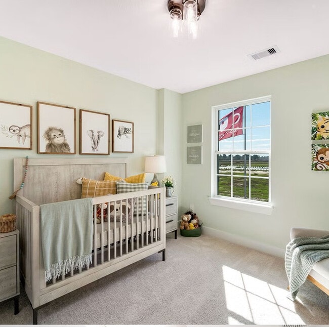 247 Posey Pass in New Braunfels, TX - Building Photo - Building Photo