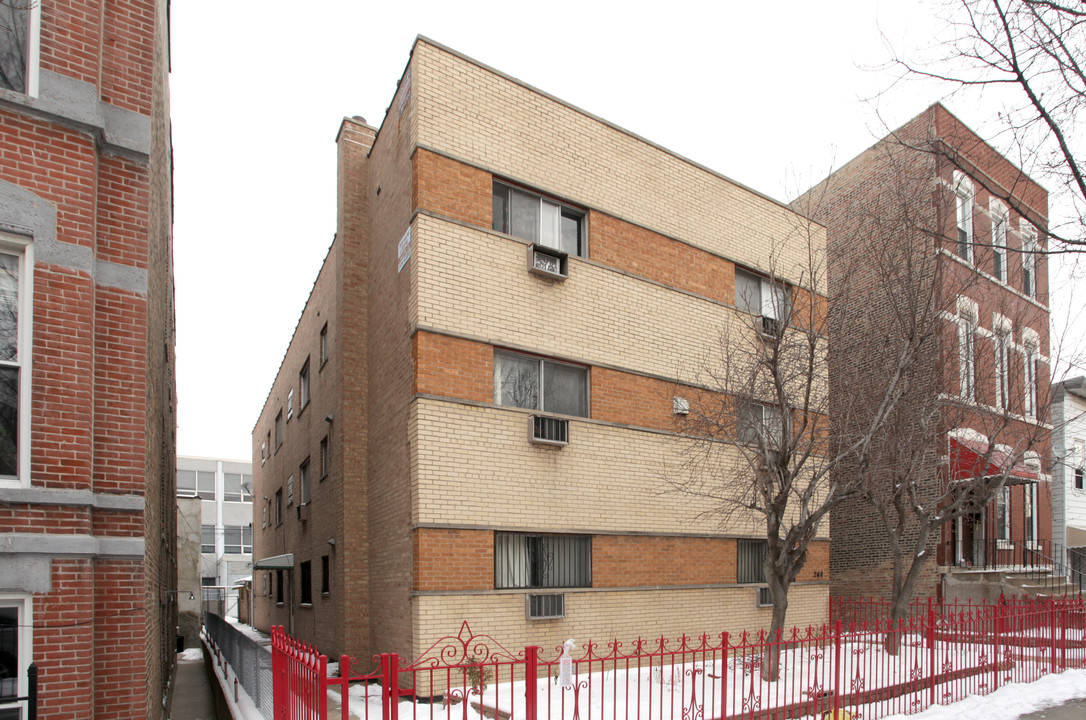 246 W 24th St in Chicago, IL - Building Photo