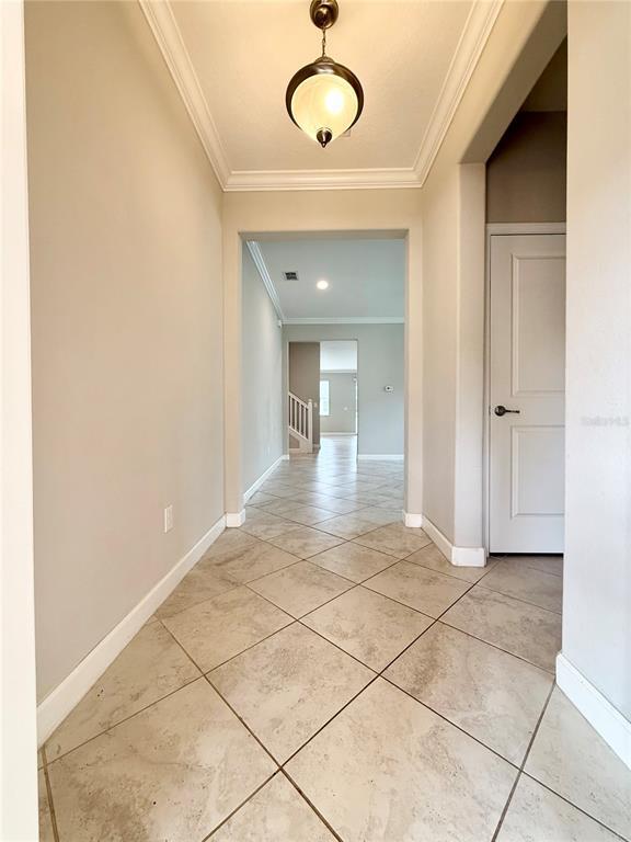 3192 Calvano Dr in Land O Lakes, FL - Building Photo - Building Photo