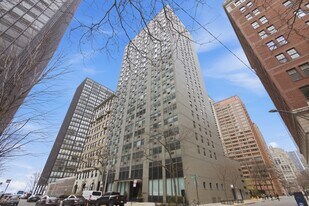 253 E Delaware Pl, Unit 12H in Chicago, IL - Building Photo