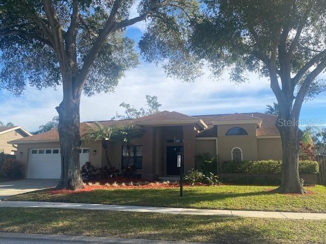 1670 Virginia Ave in Palm Harbor, FL - Building Photo