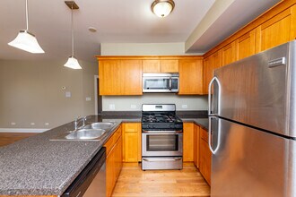 1503 W Albion Ave in Chicago, IL - Building Photo - Building Photo