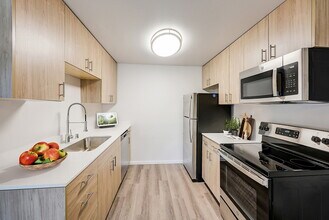 Ascent in Kirkland, WA - Foto de edificio - Building Photo