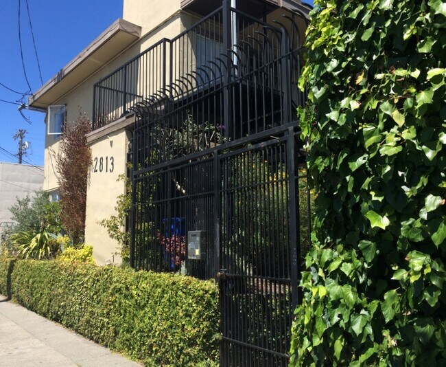 2813 Shattuck Ave Apartments and Nearby Berkeley Apartments For Rent