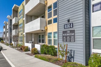 The Landing at Wildflower Station in Antioch, CA - Foto de edificio - Building Photo