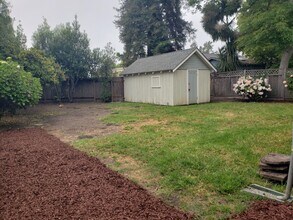 145 Myrtle St in Santa Cruz, CA - Building Photo - Building Photo