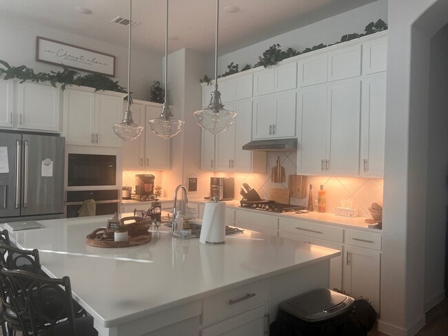 244 Heartleaf Rd in San Marcos, TX - Building Photo - Building Photo
