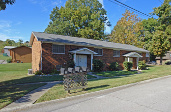 101 Cynthia Ln in Knoxville, TN - Building Photo - Building Photo