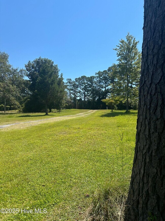 118 April Ln in Stella, NC - Building Photo - Building Photo