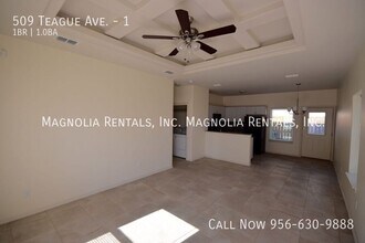 509 Teague Ave in Edinburg, TX - Building Photo - Building Photo